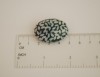 Ovali sagė „Girios šešėliai“ (pin18)