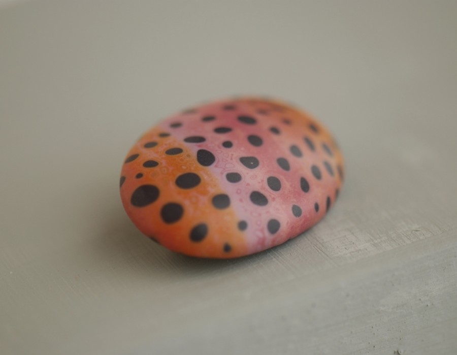 Ovali sagė „Panaši į boružę“ (pin06)