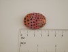 Ovali sagė „Panaši į boružę“ (pin06)
